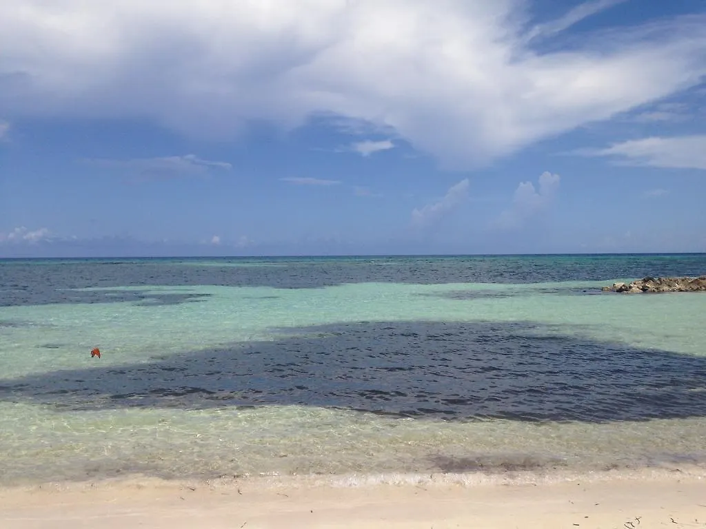 Seacastles By The Beach/Pool モンテゴ・ベイ
